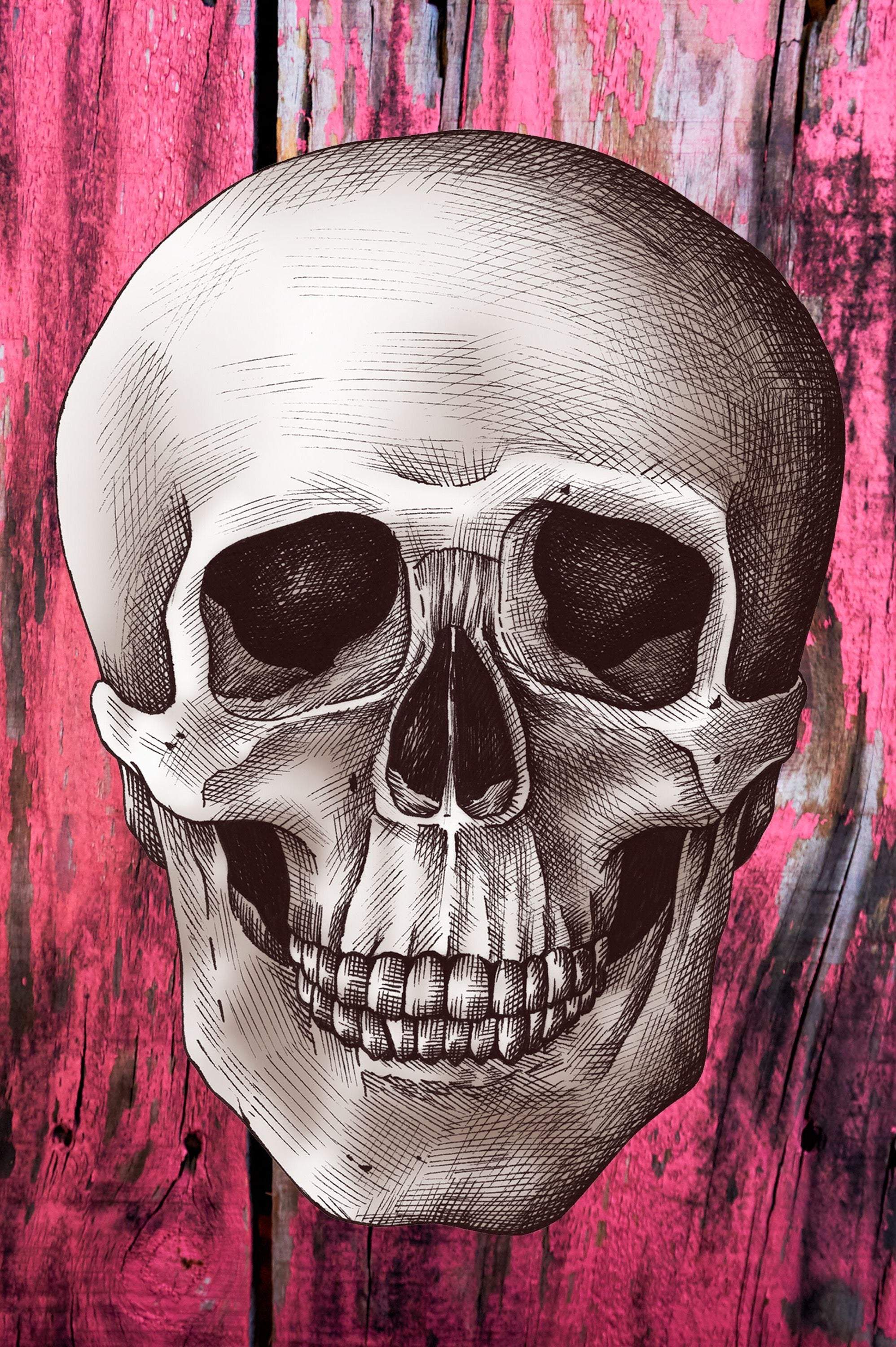 Pink Lady - Artist by Sarah Lopp - Art Prints, Decoupage Rice Paper, Flat Canvas Prints, Giclee Prints, Photo Prints, Poster Prints