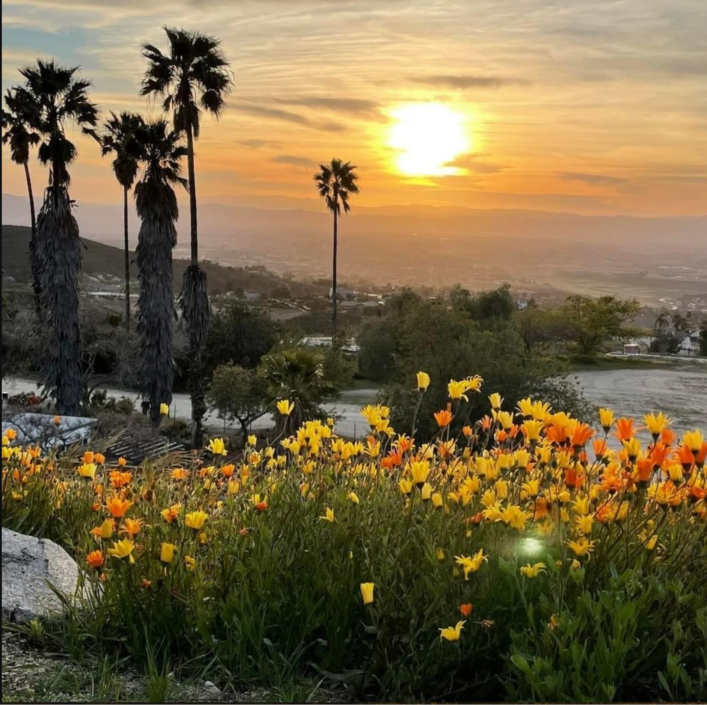 Temecula View