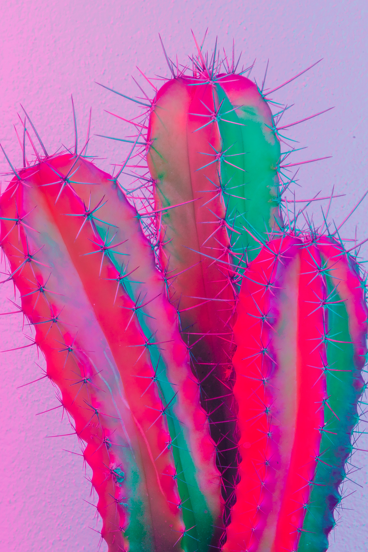 Cacti Glow - Artist by Twist My Armoire - Cactus, neon