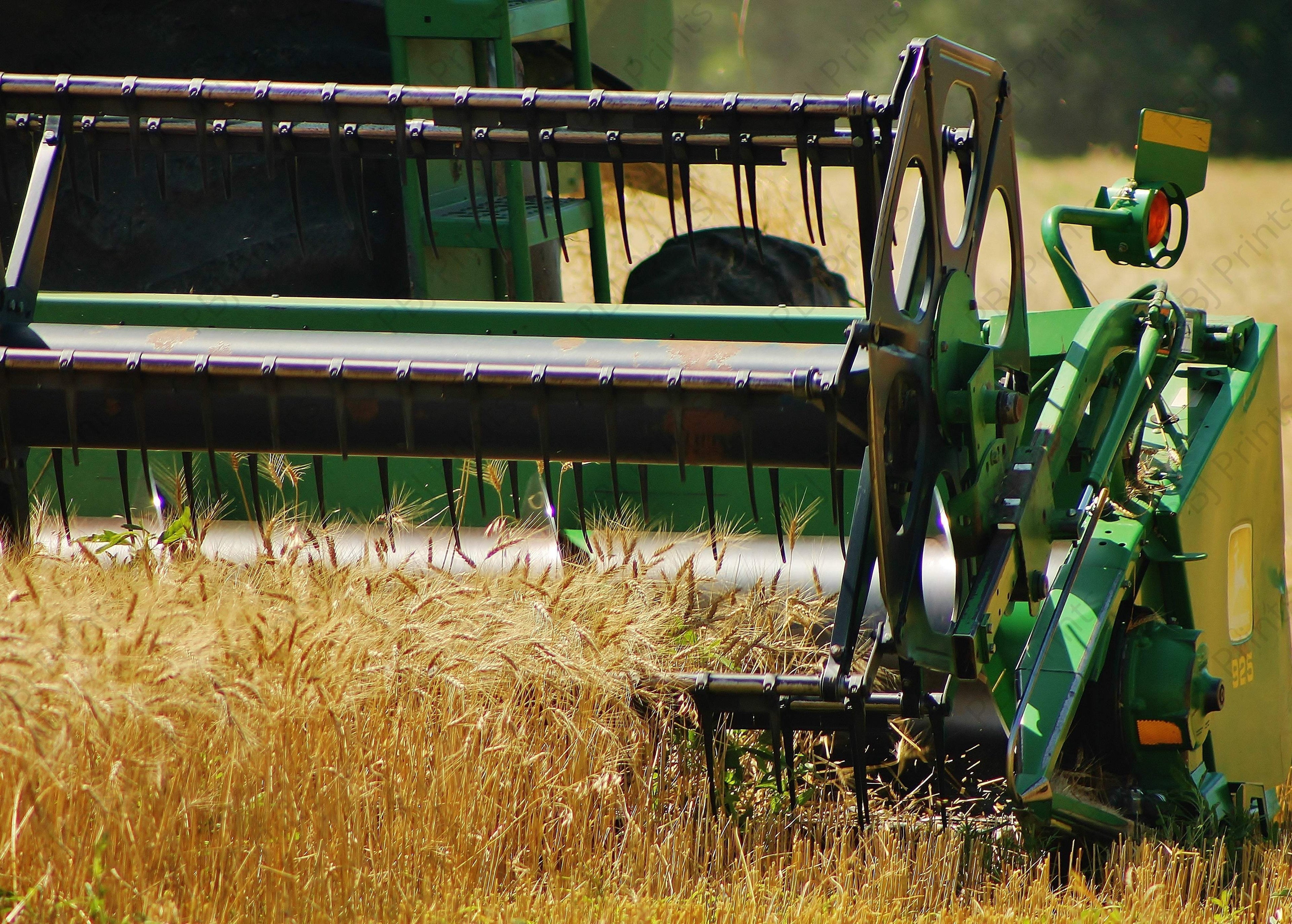 Combine Harvesting Wheat - Artist by Elizabeth Schrandt - Art Prints, Decoupage Rice Paper, Flat Canvas Prints, Giclee Prints, Photo Prints, Poster Prints