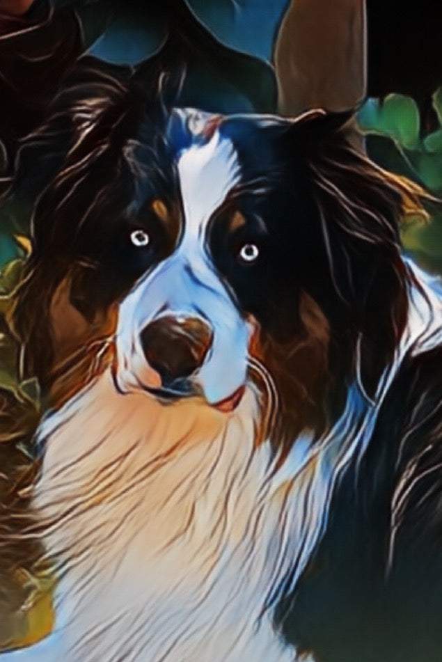 Handsome Rocco - Artist by Davina Dell Design - Art Prints, Decoupage Rice Paper, Flat Canvas Prints, Giclee Prints, Photo Prints, Poster Prints