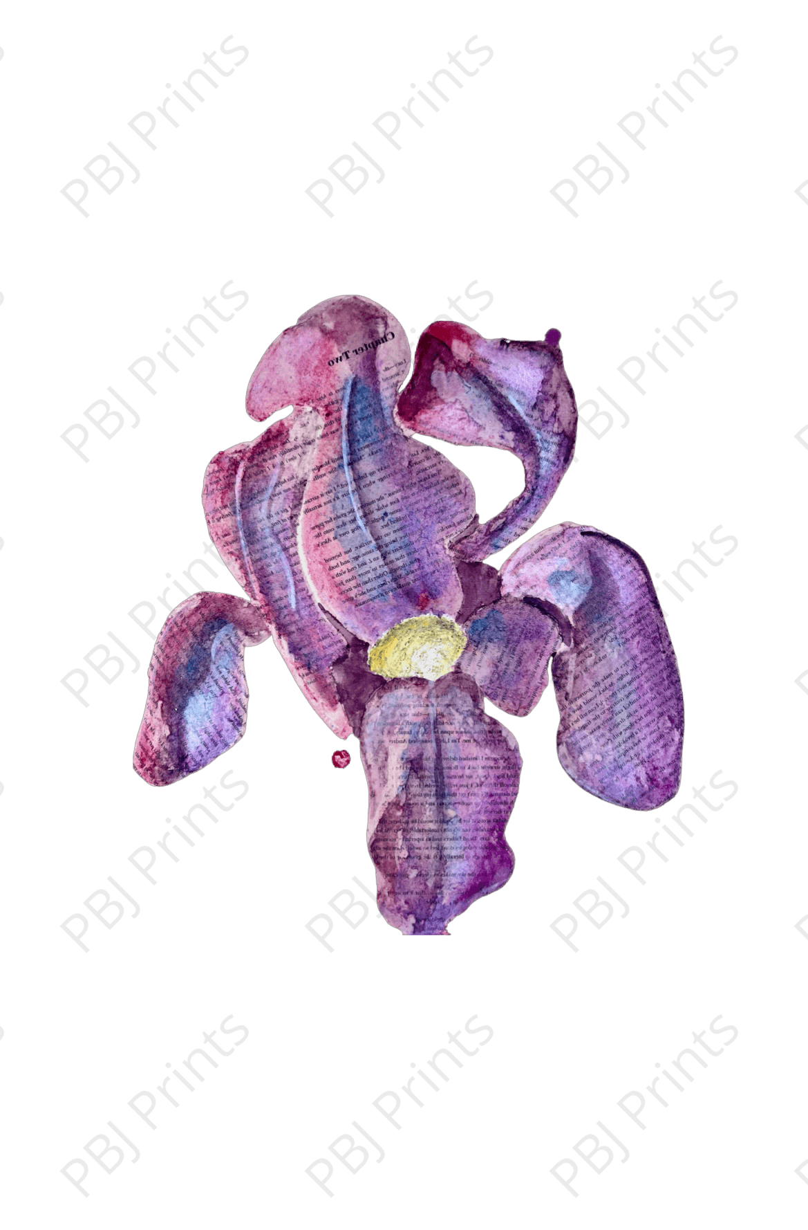 Lilly - Artist by Thirteen Design - Art Print, Decoupage Rice Paper, Flat Canvas Prints, Giclee Print, Greeting Cards, Photo Prints, Poster Print, Scrapbook Paper