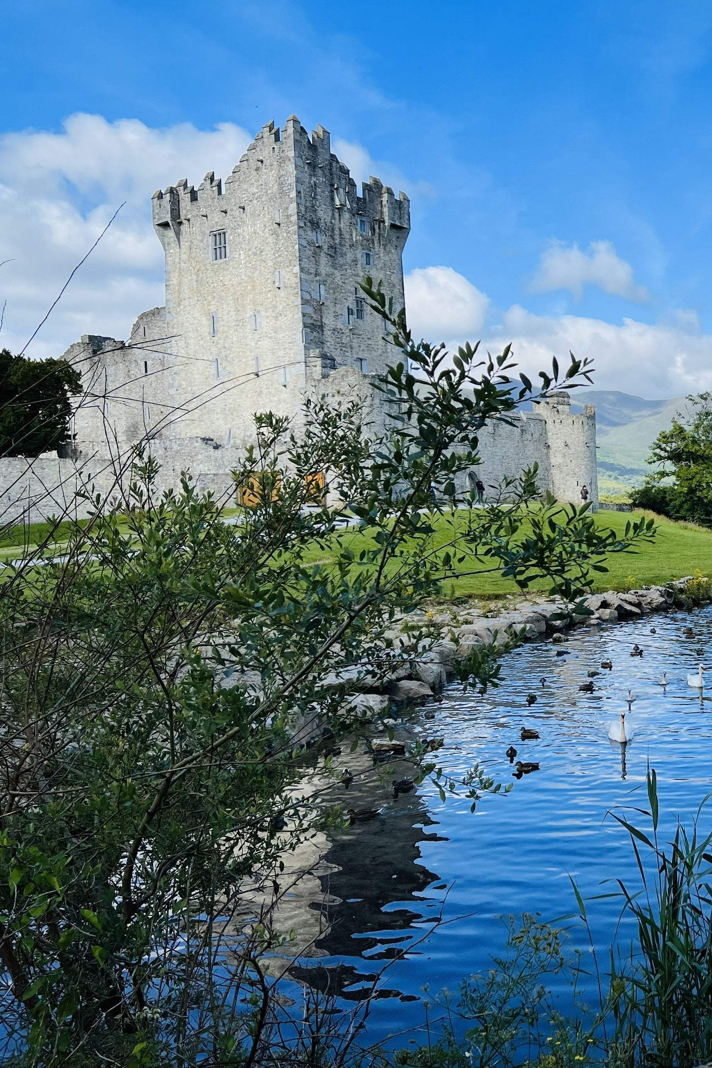 Irish Castle - Artist by Attic In Valley -