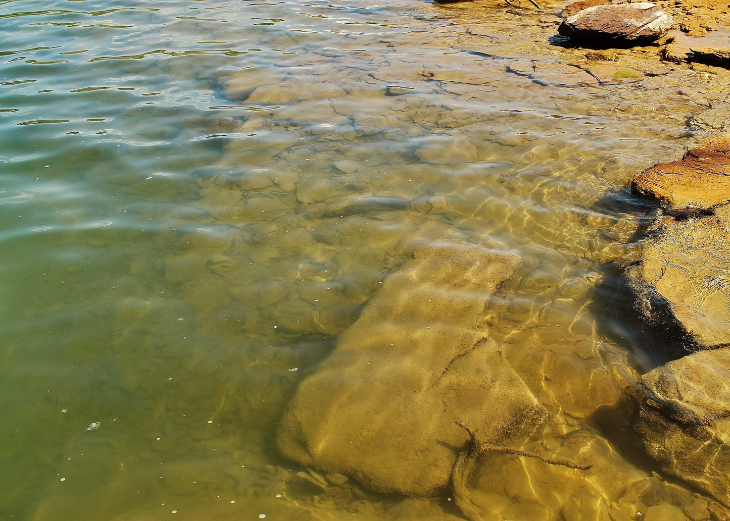 Lake Shore - Artist by We Live For Farming -