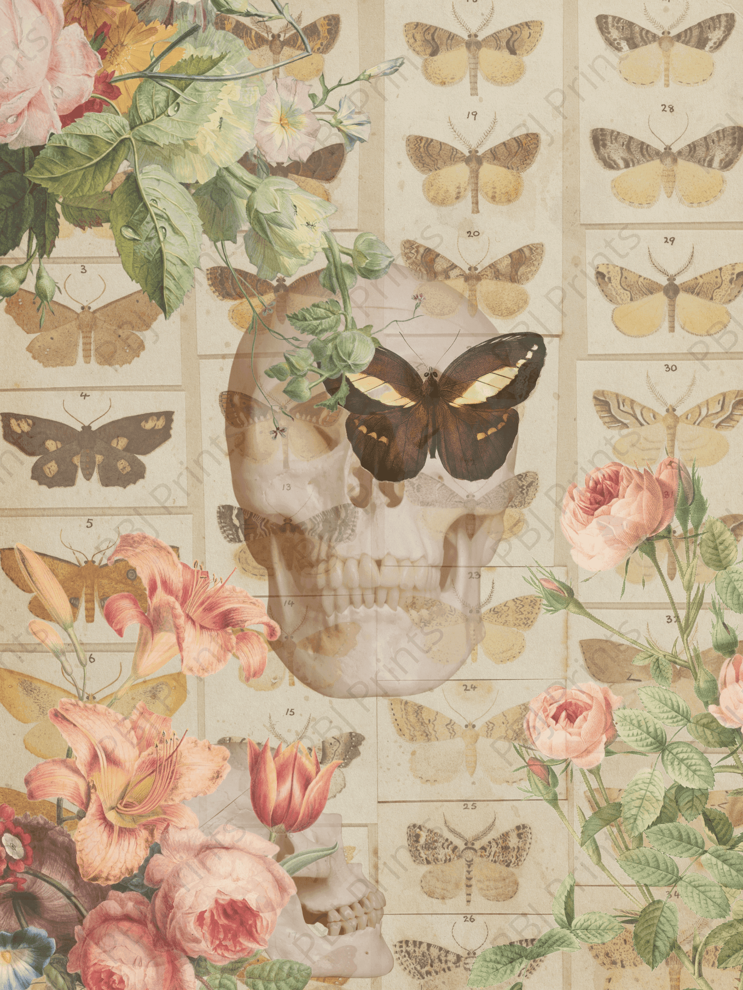 Life and Death - Artist by Renewed Spirit Home -