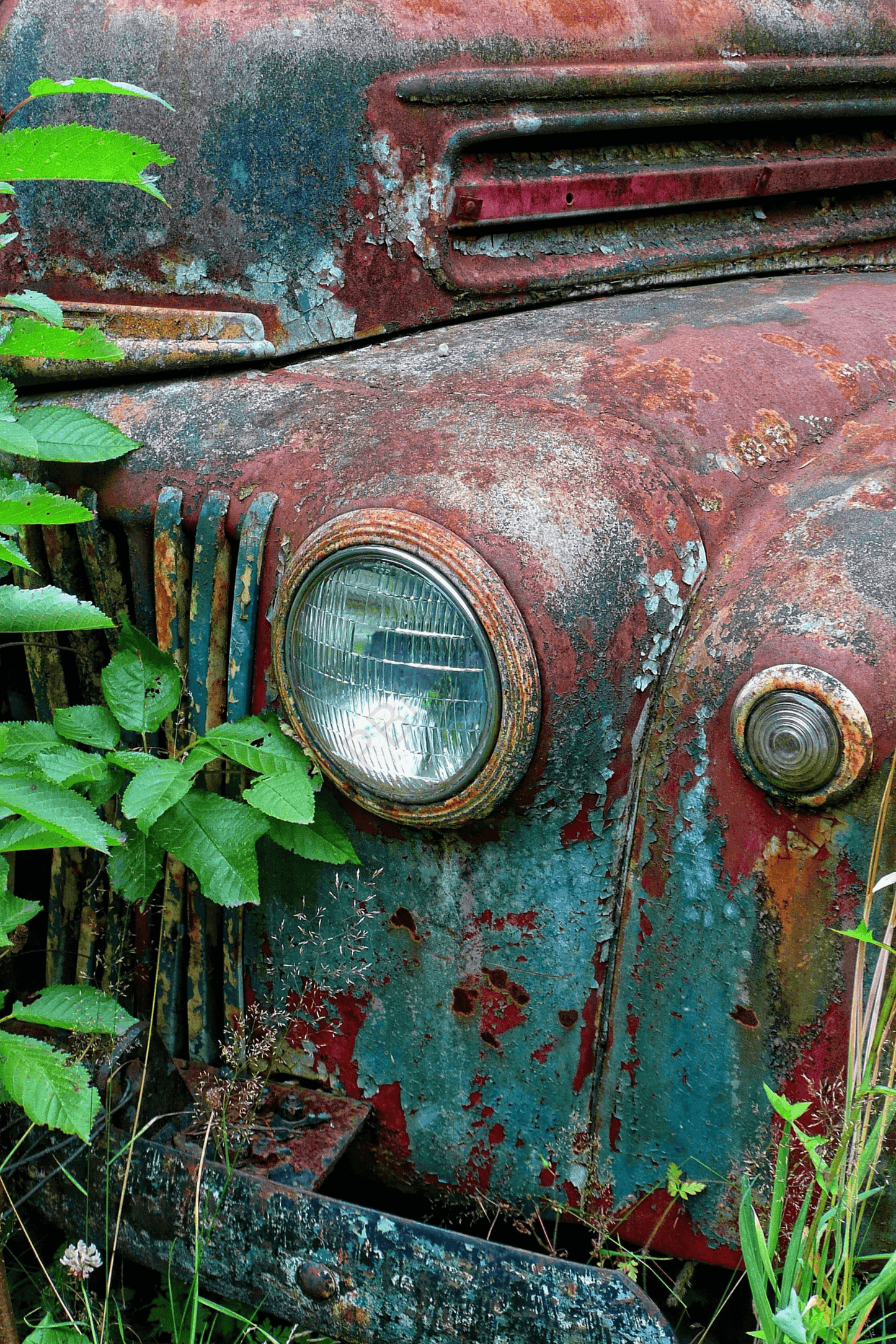 Old Red - by Twist My Armoire - Nature, New Arrivals, Patina, Rust, Truck, Vintage