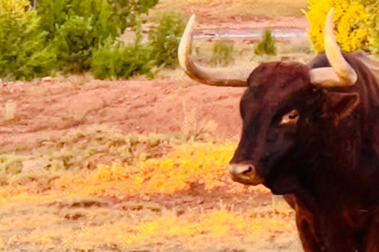 See You2 - by Attic In Valley - Cows, Farm, Longhorn, New Arrivals, Ranch