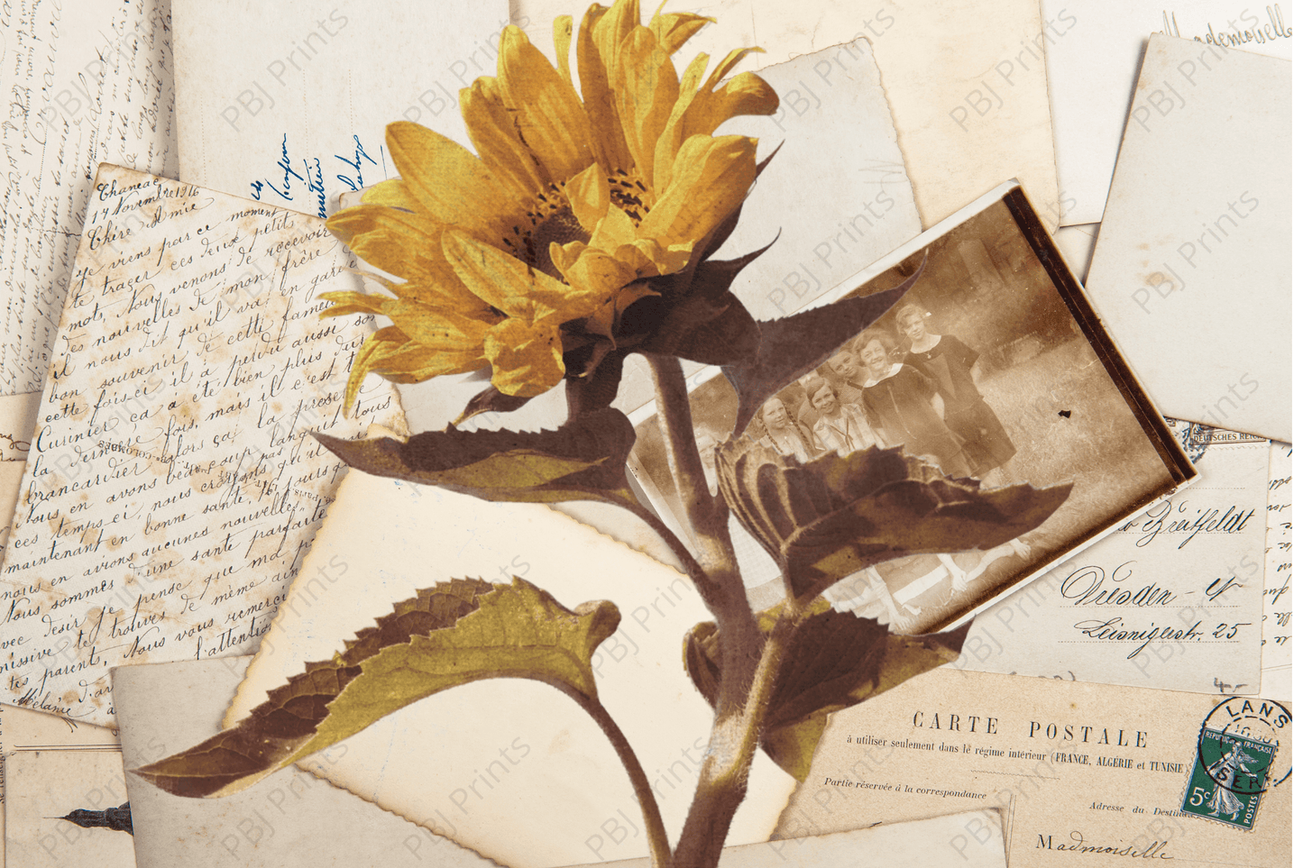 Signatures - Artist by Twist My Armoire - Flowers