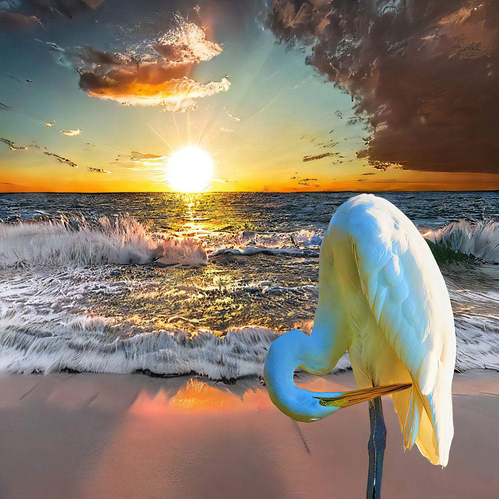 Preening Egret at Beach - Artist by Darin E Hartley Photography - 
