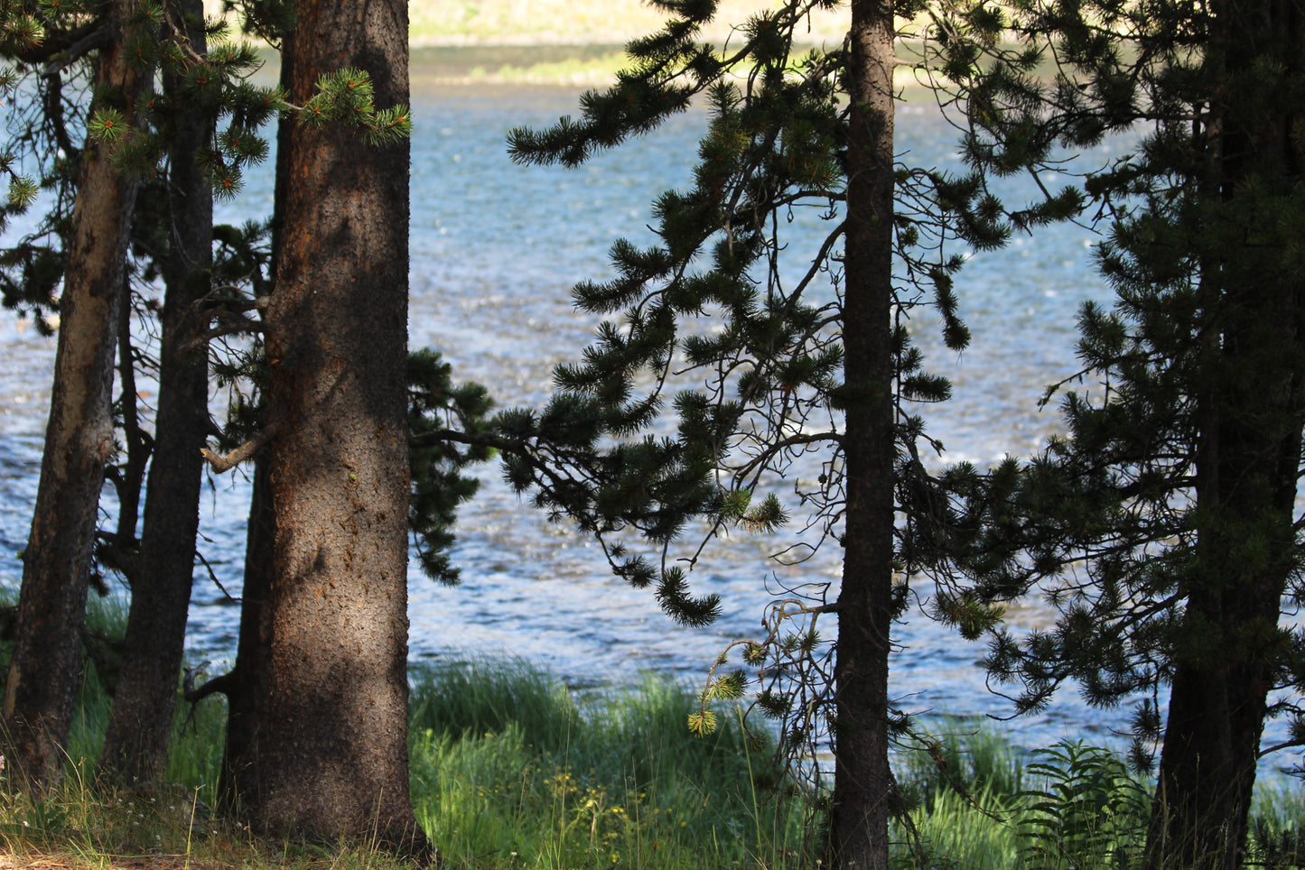 Jenny Lake 1