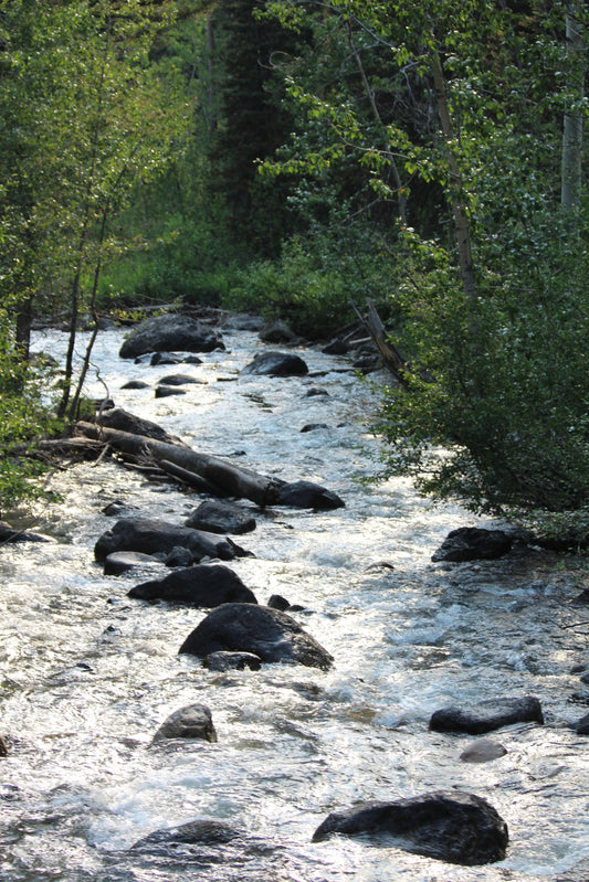 Stream Beauty