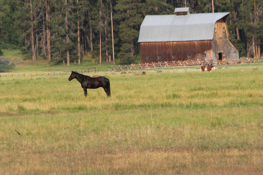 Teton Horse & Barn