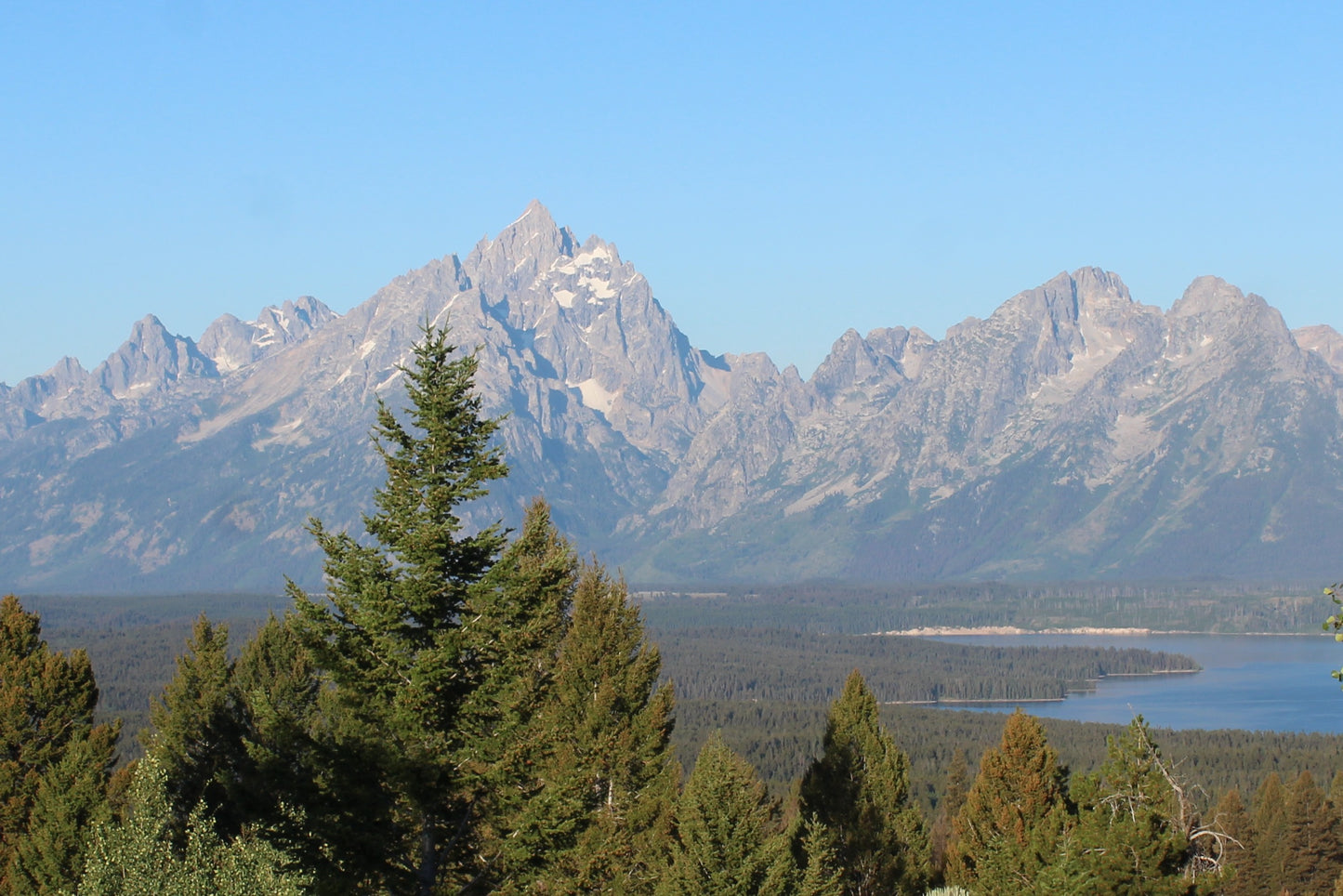 Teton View