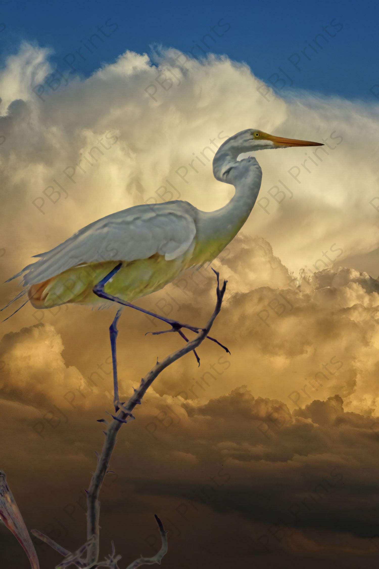 Great Egret in the Clouds - Artist by Darin E Hartley Photography - Decoupage Rice Paper