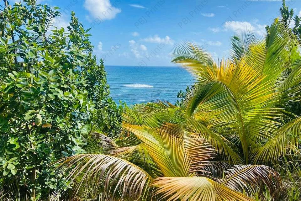 Ocean View B - Artist by Attic In Valley - Art Prints, Decoupage Rice Paper, Flat Canvas Prints, Giclee Prints, Greeting Cards, Photo Prints, Poster Prints