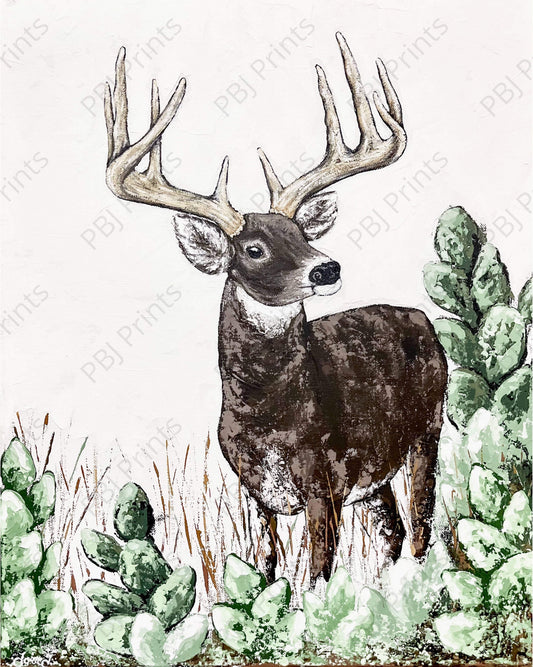 Cactus Buck - Artist by Thistle and Grace - 