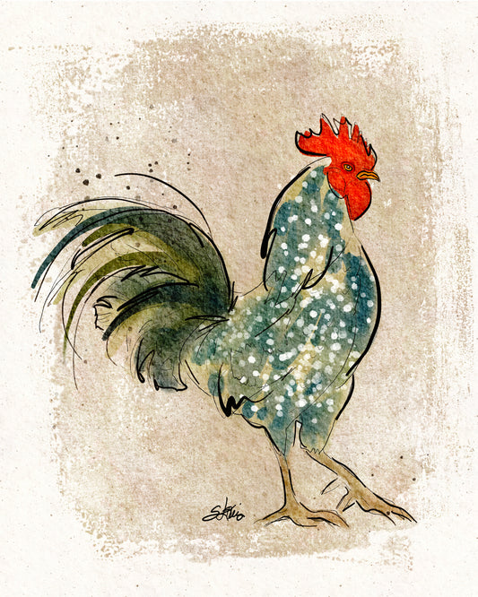 Dandy Rooster