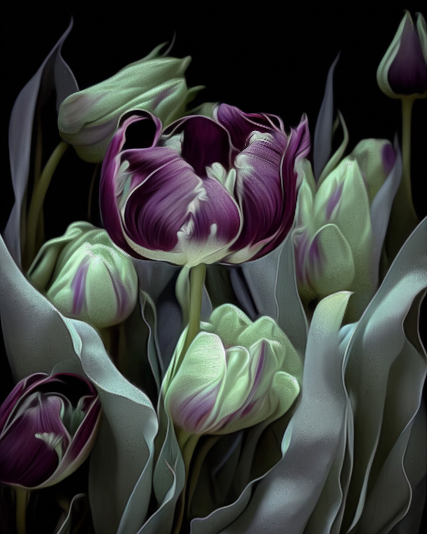 Deep Purple Van Gogh Tulips