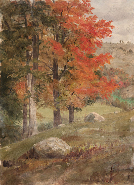 Trees in the fall - Artist by I AM GLORIOUS - Fall, Wholesale