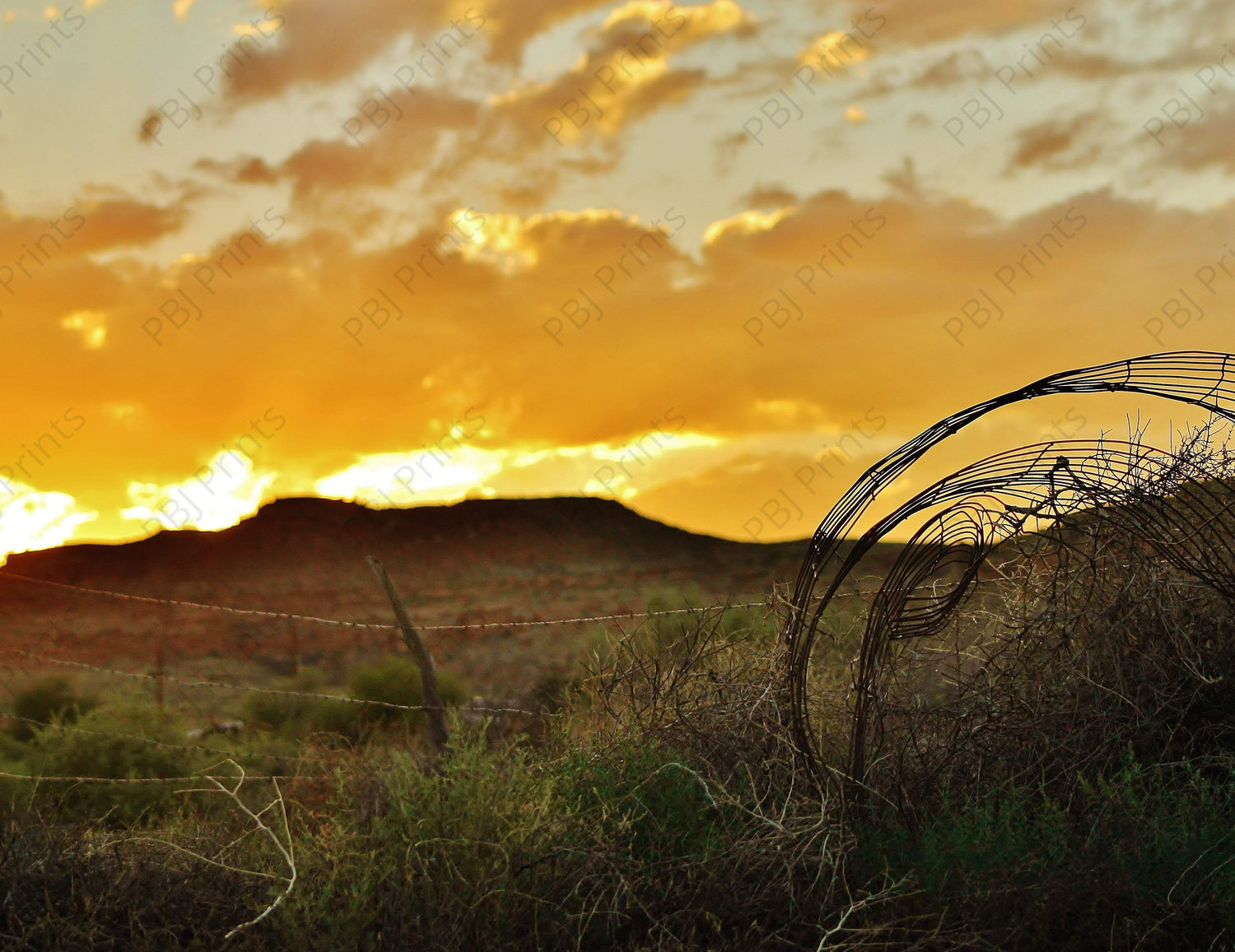 Western Mesa Sunset - Artist by Elizabeth Schrandt - Art Prints, Decoupage Rice Paper, Flat Canvas Prints, Giclee Prints, Photo Prints, Poster Prints