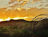Western Mesa Sunset - Artist by Elizabeth Schrandt - Art Prints, Decoupage Rice Paper, Flat Canvas Prints, Giclee Prints, Photo Prints, Poster Prints