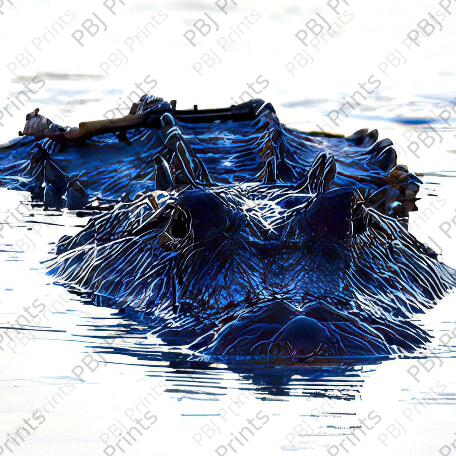 Large Alligator - Artist by Darin E Hartley Photography - Decoupage Rice Paper