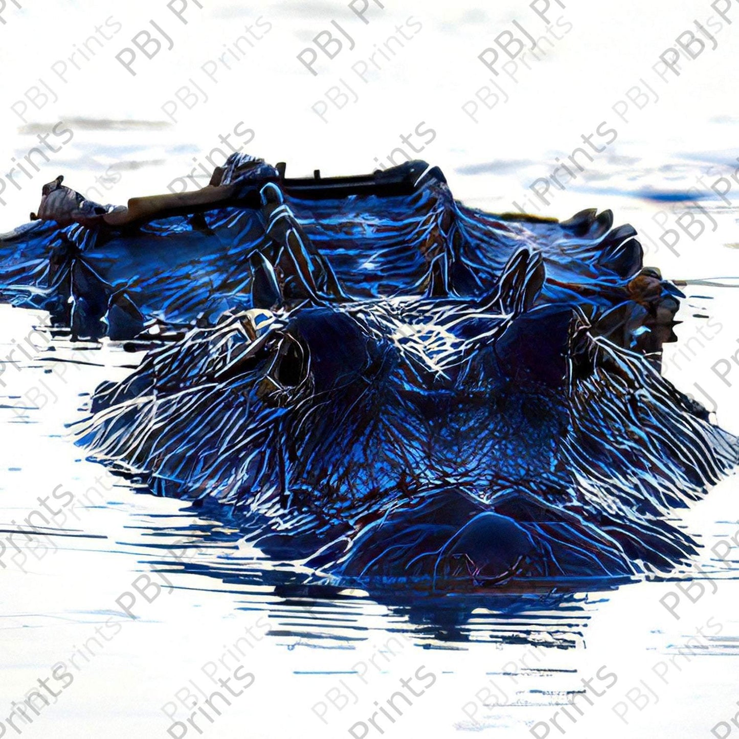 Large Alligator - Artist by Darin E Hartley Photography - 