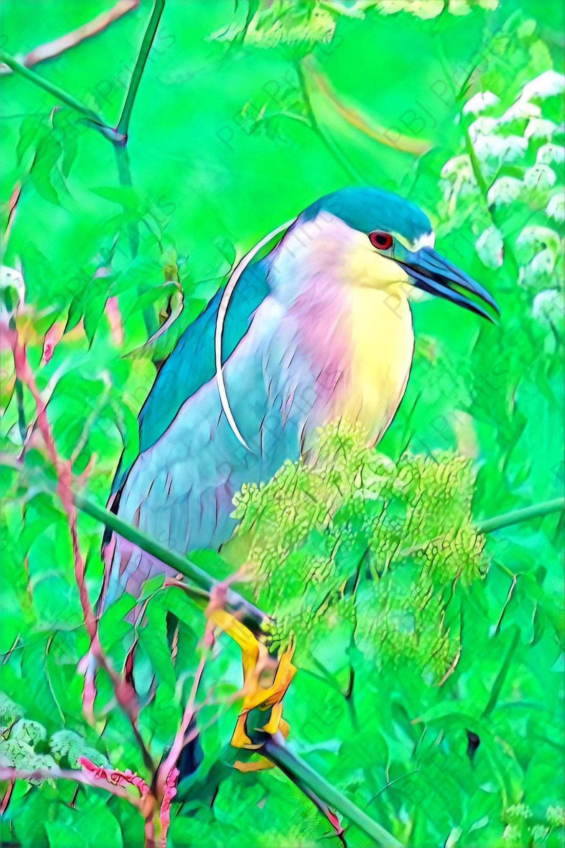 Filtered Night Heron - Artist by Darin E Hartley Photography - Decoupage Rice Paper