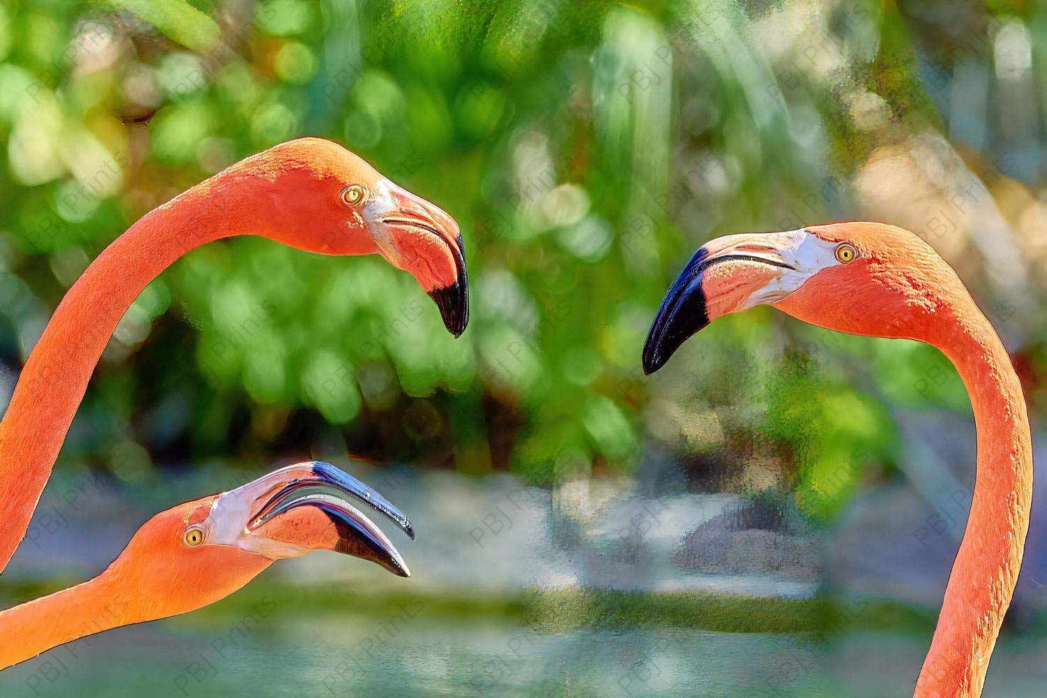 Trio of Flamingos - Artist by Darin E Hartley Photography - 