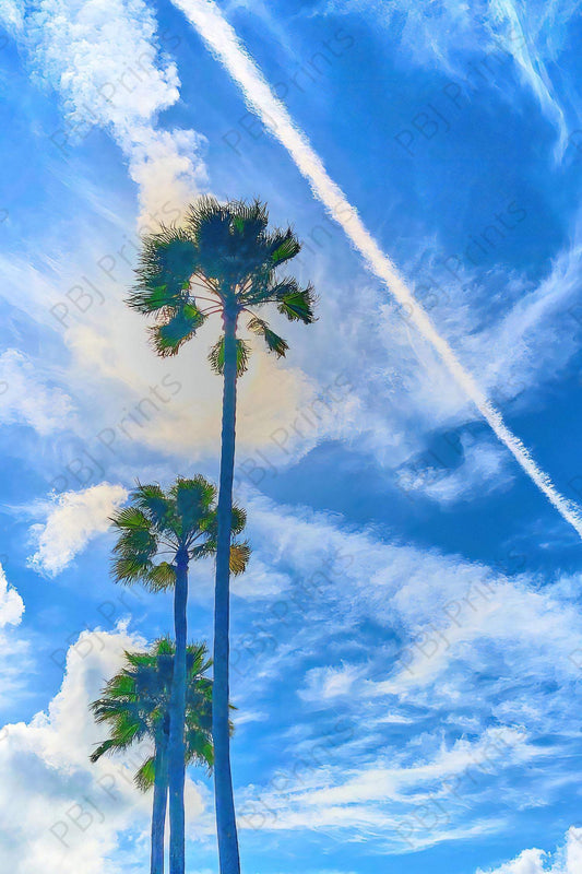 Trio of Mexican Palms - Artist by Darin E Hartley Photography - 