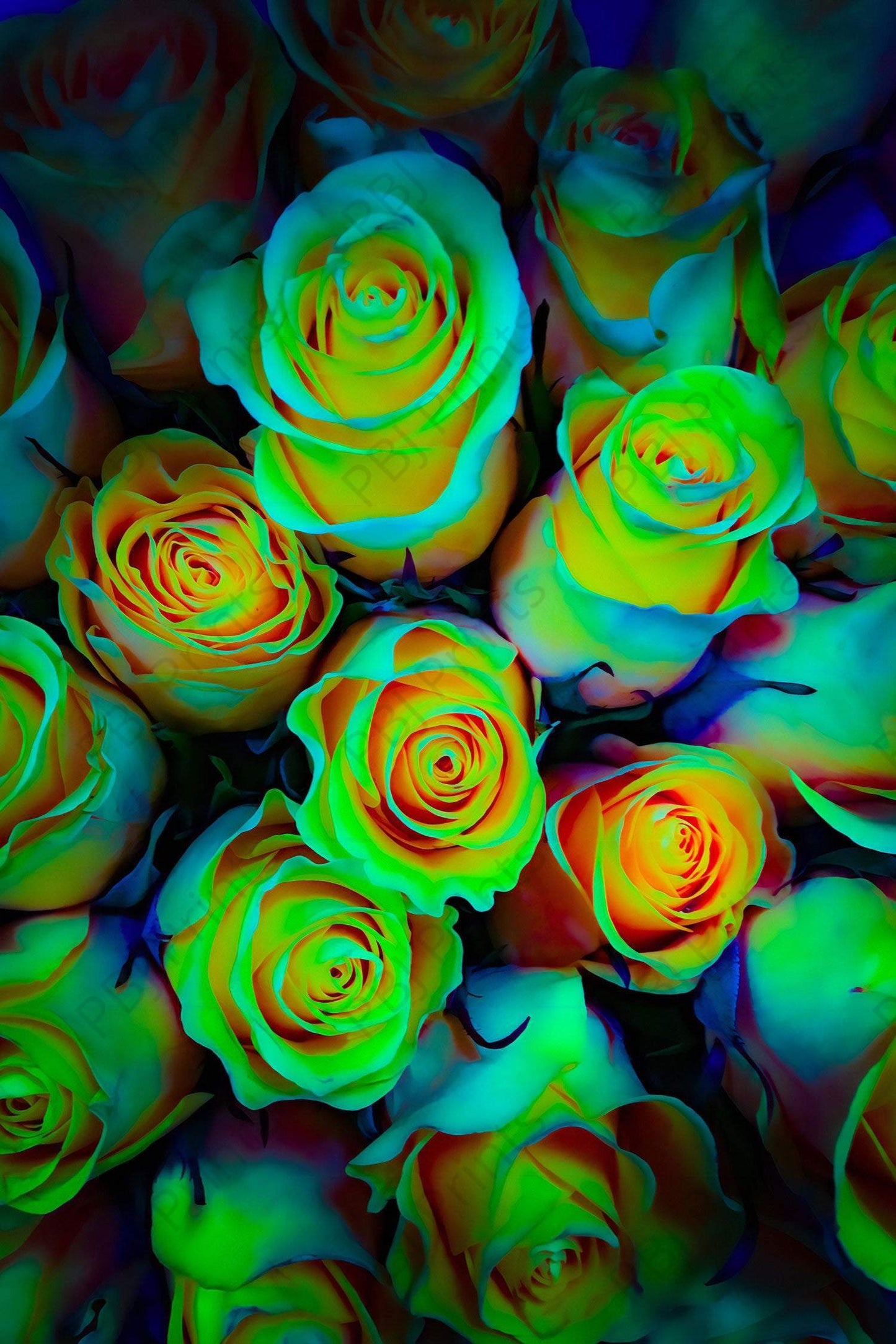 Warhol Roses - Artist by Darin E Hartley Photography - 